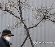 [날씨] 추위 물러가는 일요일…서울 낮 4도까지↑