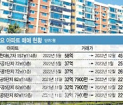 압구정 현대아파트 두 달 만에 최고가 대비 13억 '뚝'