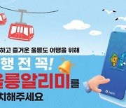 울릉도 여행 필수 … ‘울릉알리미’ 모바일 앱 홍보