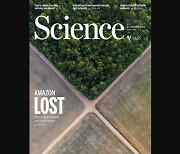 [표지로 읽는 과학] 죽어가는 아마존 산림의 민낯