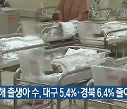 지난해 출생아 수, 대구 5.4%·경북 6.4% 줄어