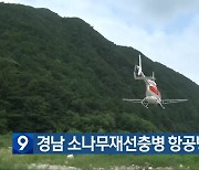 경남 소나무재선충병 항공방제 중단 검토