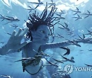 '아바타2' 역대 흥행 4위…하루 만에 한 계단 상승