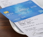 '돈 내는줄 모르고 가입'…카드사 유료 부가상품 민원 급증