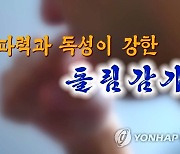 "감기 즉시격리" 北TV 독감 프로 긴급편성…'평양봉쇄' 연관