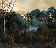 ‘인간 활동’으로  남아있는 아마존 열대우림 3분의 1도 이미 훼손