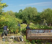 상암 노을공원 '아름다운숲' 만든 이 회사