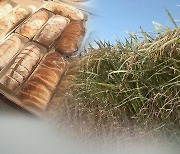 밀 대체 가루쌀 육성 나선 정부…걸림돌은 '가격·식감'