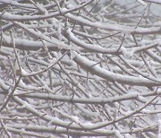 [내일 날씨] 아침 최저기온 영하 12도…오후부터는 수도권 눈·비 내려