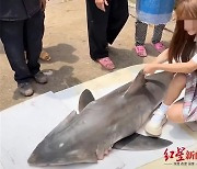 '멸종위기' 상어 먹방한 中인플루언서···결국 벌금 2000만원