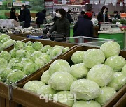 [포토] 날씨탓 채소류 가격 올랐다