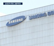 약세장 버틴 삼성그룹주펀드…투자 비중이 갈랐다