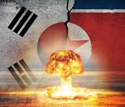 Majority supports development of South's own nukes