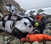 테슬라 절벽 추락사고 알고보니 고의…美 40대 ‘철창행’