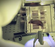 삼성전자 반도체 겨우 적자 면해…사실상 감산