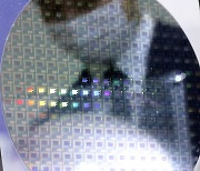 동그란 웨이퍼 위에 그려진 반도체 칩