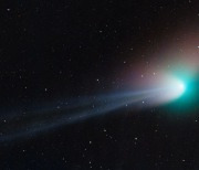 5만년 주기 녹색 빛 혜성 2일 새벽 관측 가능...'ZTF 혜성' 지구 근지점 통과