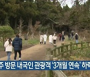제주 방문 내국인 관광객 ‘3개월 연속’ 하락세