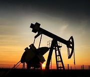 [속보] OPEC+ "원유 생산량 유지…오는 4월 다시 논의"