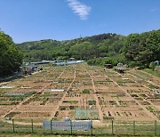 수성구, ‘2023년 공영도시농업농장’ 분양 외 [수성소식]