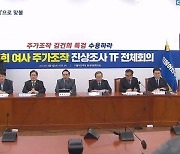 민주, '김건희 특검 TF' 출범…대정부 투쟁 본격 시작