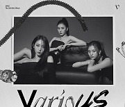 VIVIZ(비비지), 통했다···아이튠즈 5개 지역 1위