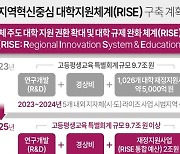 [그래픽] 지역혁신중심 대학지원체계(RISE) 구축 계획