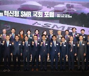 “혁신형 SMR, 개발·건설 동시 추진 땐 2033년 운전 가능”