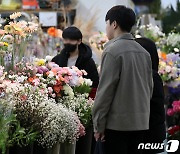 비싼 꽃값에 망설여지는 구매