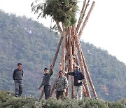 정월대보름 달집태우기 준비하는 청도군