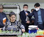 공정육묘 생산 현장 찾은 조재호 농촌진흥청장