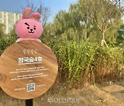 BTS정국숲·RM숲..서울 한강공원에 '스타숲' 1만㎡ 규모 조성, 관광명소화