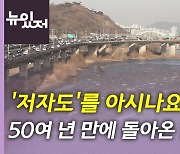 [뉴있저] '저자도'를 아시나요? 50여 년 만에 돌아온 한강 습지