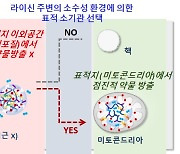 "약물 투여 5분의 1로"…미토콘드리아까지 전달 기술 개발