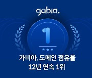 가비아, 12년 연속 도메인 점유율 1위…'.com' 보유율 43.8%