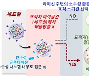 국내 연구진, 약물 전달·방출 정확성 확보 '나노약물전달체' 개발