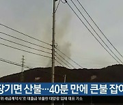 포항 장기면 산불…40분 만에 큰불 잡아