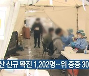 부산 신규 확진 1,202명…위 중증 30명