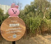 Seoul to build forests named after celebrities along Han River