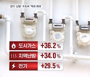 1월 물가 5.2% 올라…전기·가스·수도 28.3% 폭등 '역대 최대'