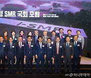 "2030년부터 한국형 SMR로 전세계 원전 시장 누빈다"