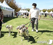 "반려동물 알고 키우세요" 월평균 양육비 1마리당 15만원