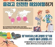 코로나 팬데믹에 주춤하더니… 전북서 올해 첫 뎅기열 환자 확인