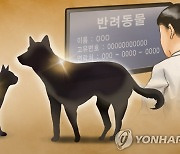 원주시, 실외사육견인 '마당개' 중성화수술 올해부터 지원