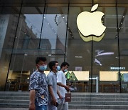 월가 눈높이 못 맞췄다…애플·구글·아마존 '실적 부진'(상보)