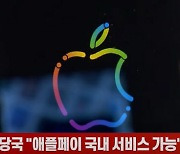 (영상)금융당국 "애플페이 국내 서비스 가능"