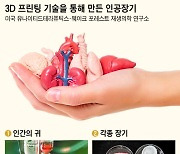 늘어난 수명에 장기 부족 극심… 인공장기 기술, 곧 38조원 산업된다