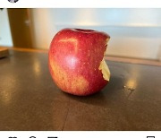 애플페이 허용에…정태영 현대카드 부회장 “오늘 점심은 사과”
