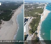 사라진 해안사구…강릉 3년 새 축구장 3개 면적 유실
