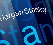 S&P500 5개월만 최고치…모간스탠리 "엄청난 과매수 상태" 경고